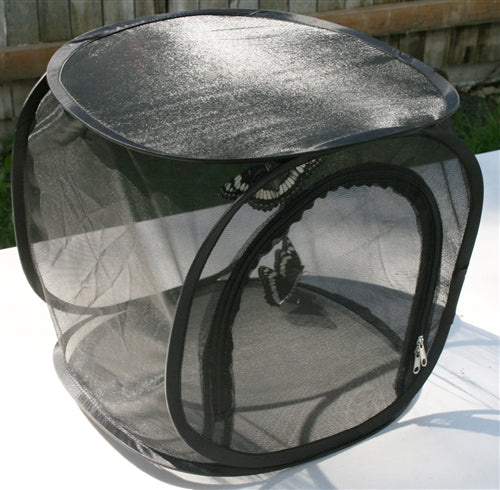 Butterfly Fly Rearing Net Cage