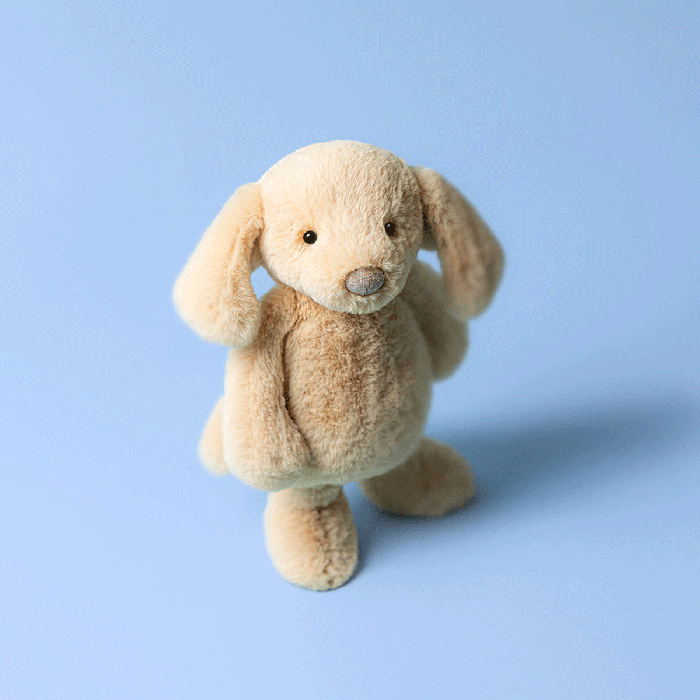 Bashful Luxe Puppy Orlando - Medium