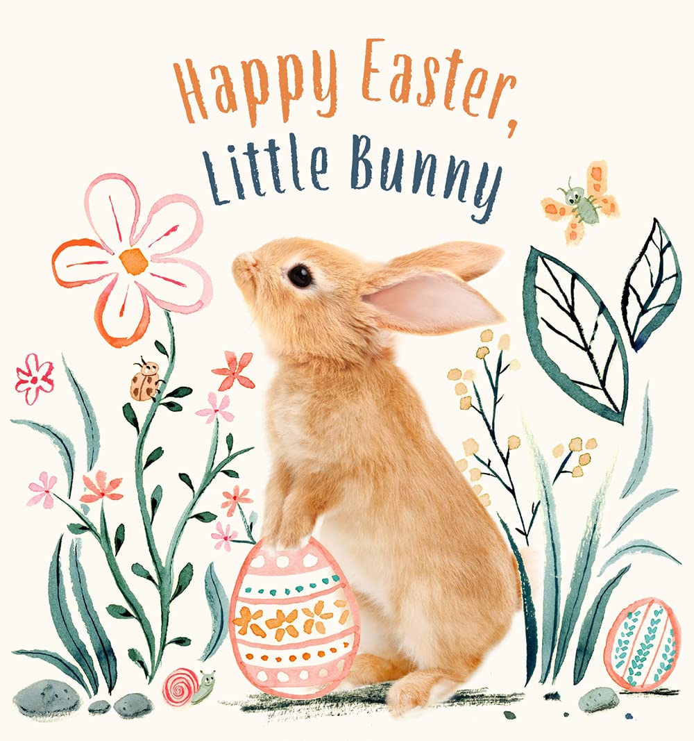 Happy Easter, Little Bunny A Board Book