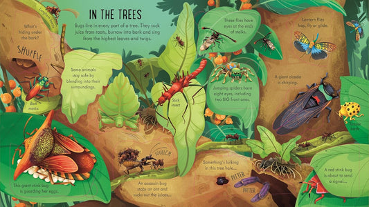 Look Inside Bug World
