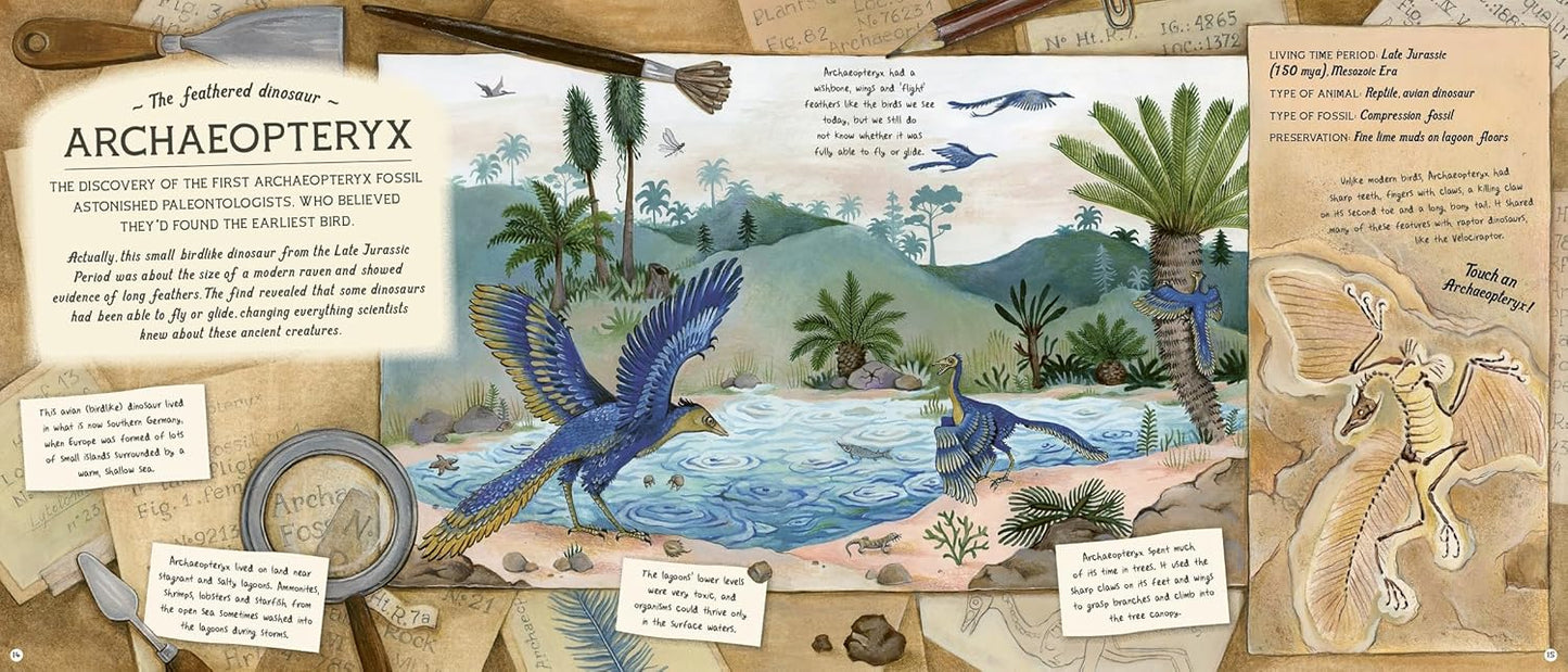 The Fossil Keeper's Treasure: With Amazing Fossils to Touch