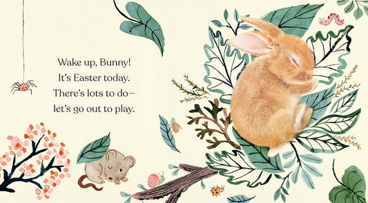 Happy Easter, Little Bunny A Board Book