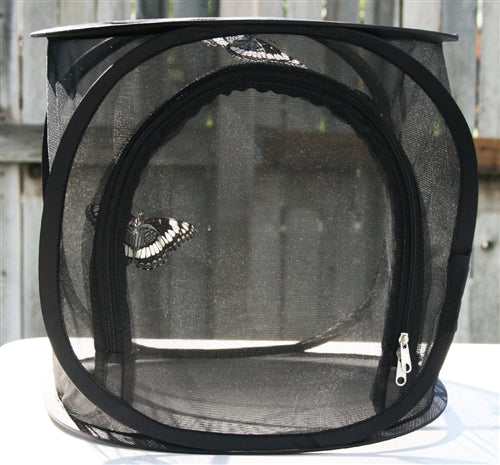 Butterfly Fly Rearing Net Cage