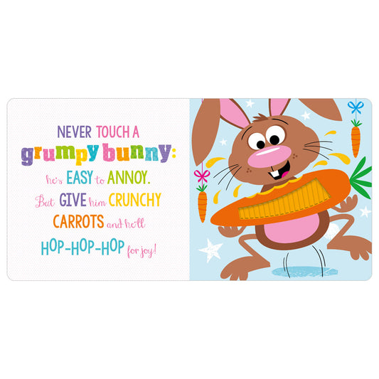 Never Touch A Grumpy Bunny! - Board Book