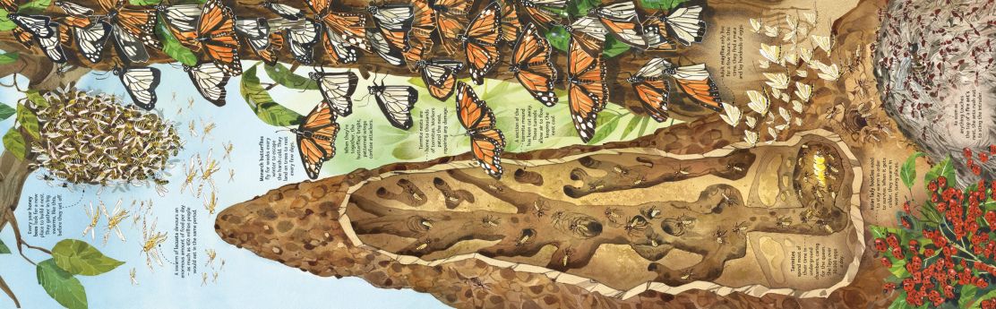 Big Book of Bugs