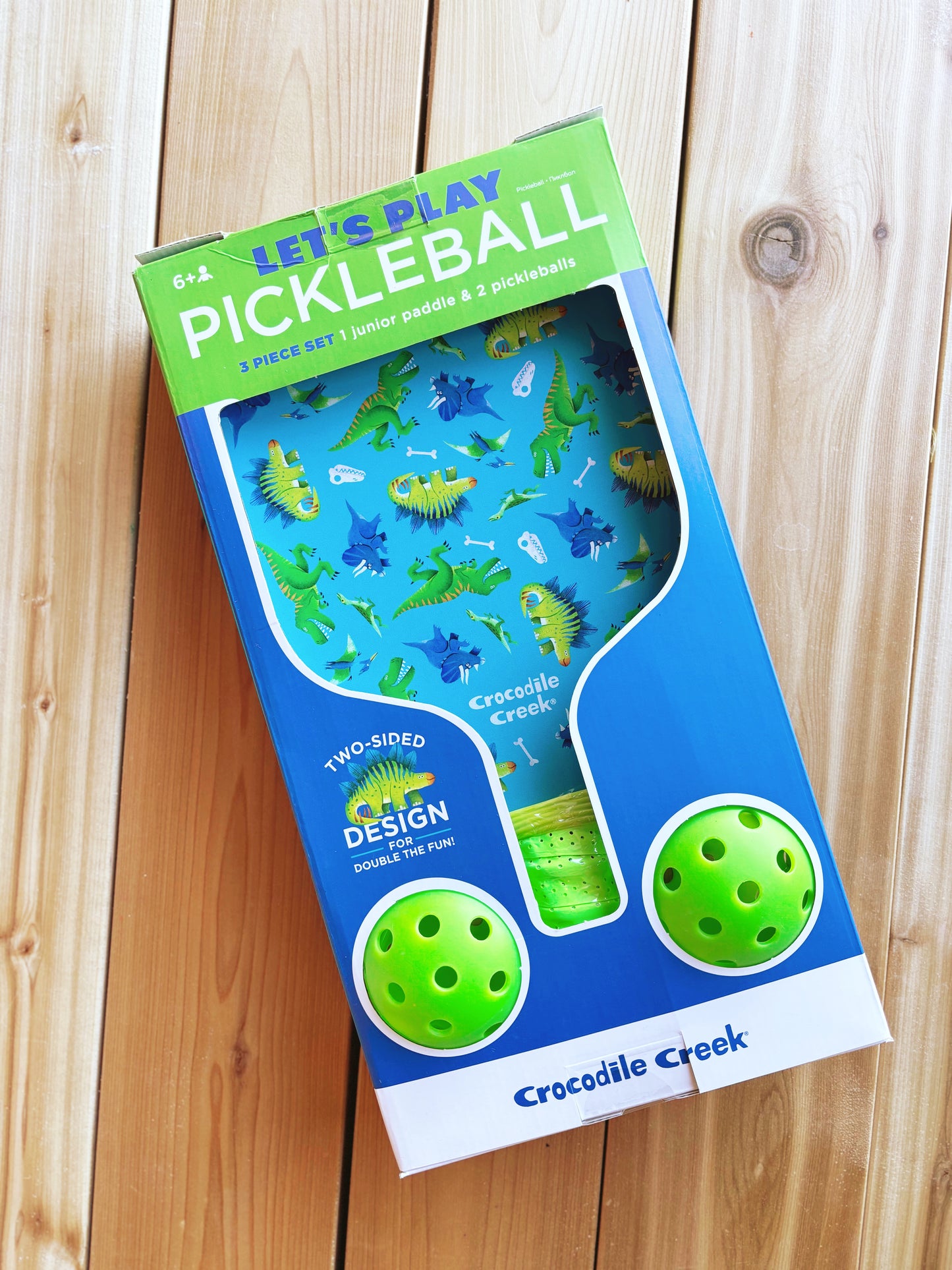 Let's Play Pickleball - Dinosaurs