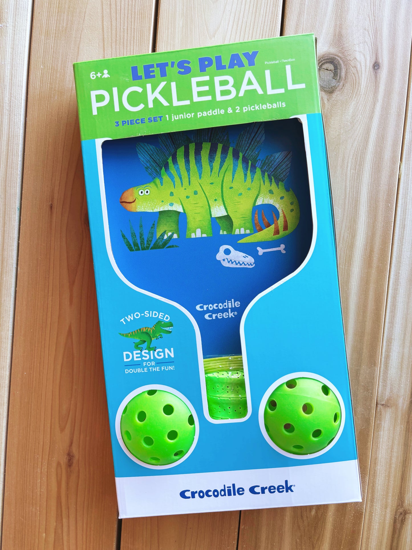 Let's Play Pickleball - Dinosaurs