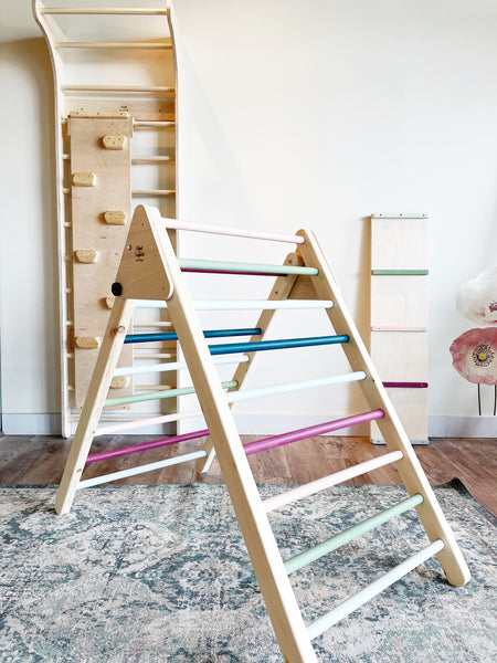 Tall Climber Triangle with Ladder/Slide Ramp